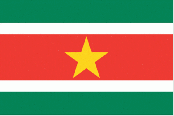 Vlag suriname surinaamse vlaggen 3 3